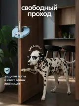 Далматин проходит через дверь, зафиксированную стопором в приоткрытом положении